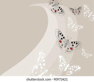 Beautiful butterflies.Vector.