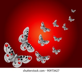 Beautiful butterflies.Vector.