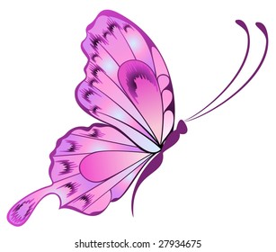 The beautiful butterfly