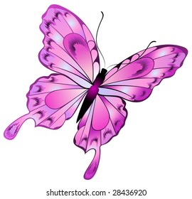 Beautiful butterfly