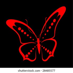 The beautiful butterfly