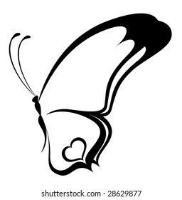 Beautiful butterfly