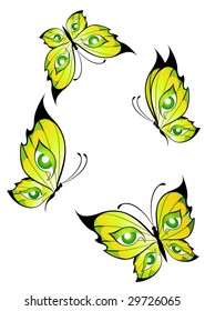 Beautiful butterfly