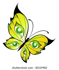 Beautiful butterfly