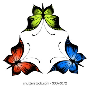 Beautiful butterfly