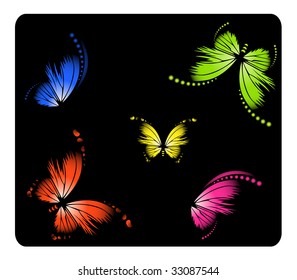Beautiful butterfly
