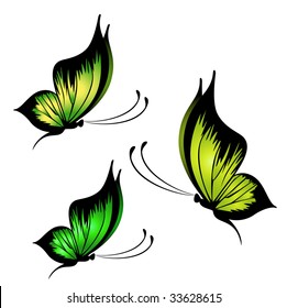 Beautiful butterfly