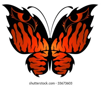 Beautiful butterfly