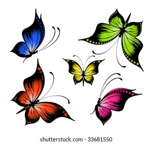 Beautiful butterfly