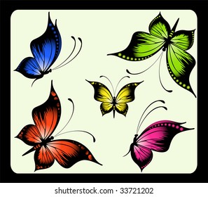 Beautiful butterfly