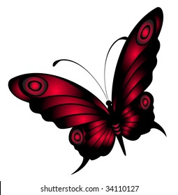 Beautiful butterfly