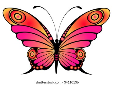 Beautiful butterfly