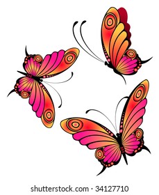 Beautiful butterfly