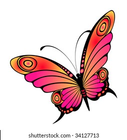 Beautiful butterfly