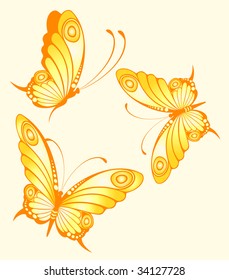 Beautiful butterfly