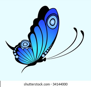Beautiful butterfly