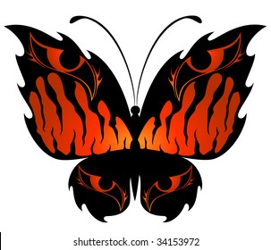 Beautiful butterfly