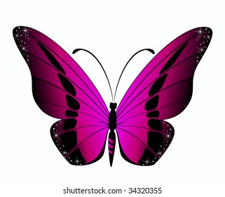 Beautiful butterfly