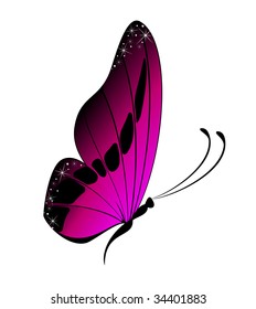 Beautiful butterfly