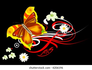 beautiful butterfly