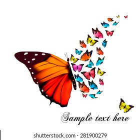 Beautiful butterfly background. Vector.