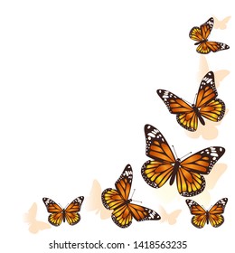 Beautiful butterfly background. Vector image.