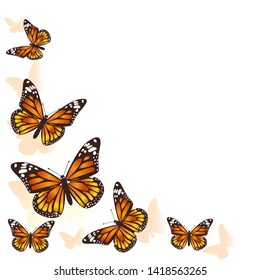 Beautiful butterfly background. Vector image.