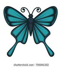 Beautiful butterfly with big wings