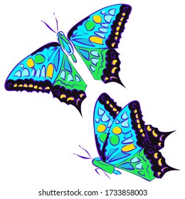 Beautiful butterfly blue monarch,  isolated on white background, vector illustration