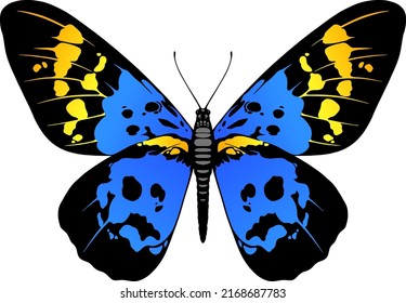 Beautiful Butterfly blue vector illustration