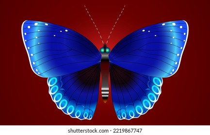 A beautiful butterfly with blue wings will decorate our world