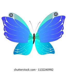 beautiful butterfly, blue,isolated on a white