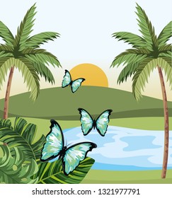 beautiful butterfly cartoon