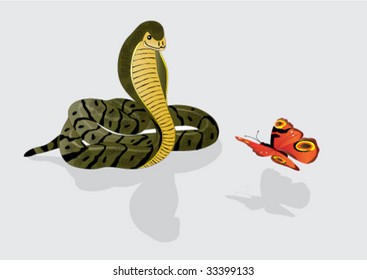 The beautiful butterfly and cobra