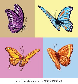 Beautiful Butterfly Collection vector illustration