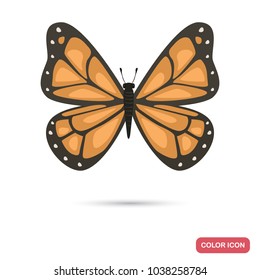 Beautiful butterfly color flat icon