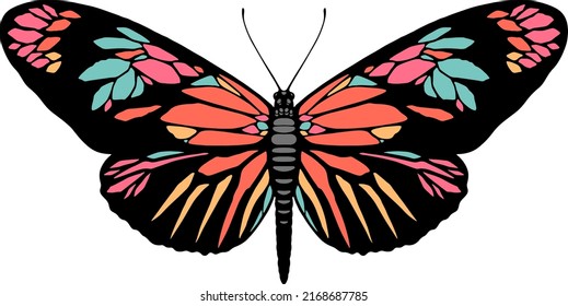 Beautiful Butterfly colorful vector illustration