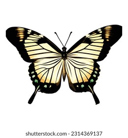 Beautiful butterfly with colorful wings isolated on white background. Colorful flying moth closeup view. Colored art vector illustration