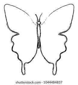 beautiful butterfly decorative icon