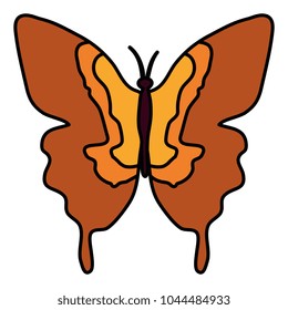 beautiful butterfly decorative icon