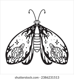 Beautiful butterfly. Decorative stylized insect drawn by hand in black. wings Beetle. Vector illustration on a white background.