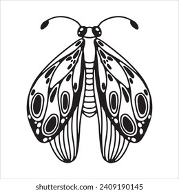 Beautiful butterfly. Decorative stylized insect drawn by hand in black. wings Beetle. Vector illustration on a white background.