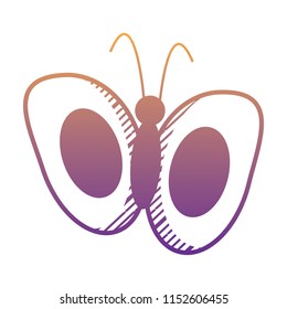 beautiful butterfly design