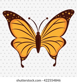beautiful butterfly design 