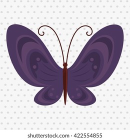 beautiful butterfly design 