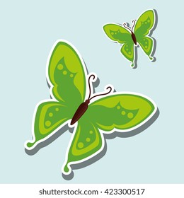 beautiful butterfly design 