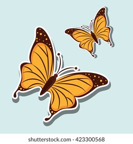 beautiful butterfly design 