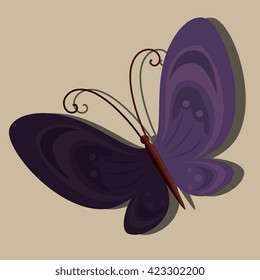beautiful butterfly design 