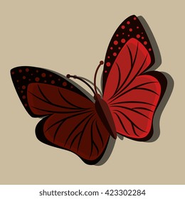 beautiful butterfly design 