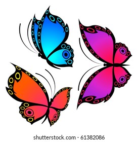 beautiful butterfly for a design